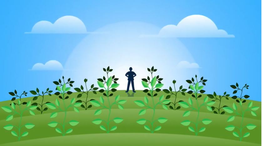 Lumisena and Lumiderm are a powerful duo