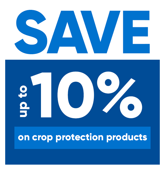 Save 10% graphic