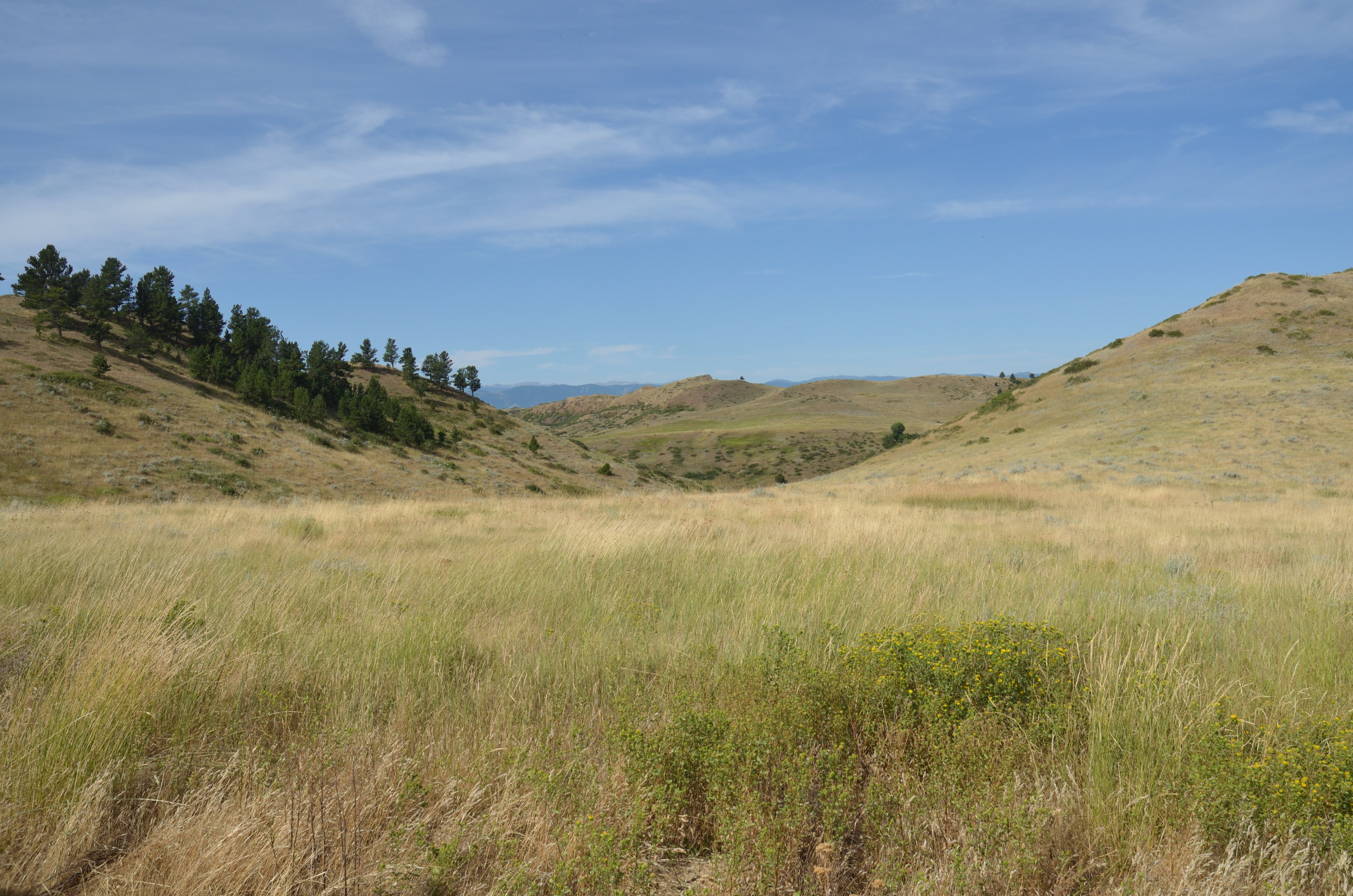 Wyoming rangeland